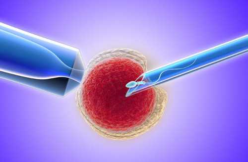 三代供卵代怀多少钱,澳门可以供卵供卵代怀吗，坤和助孕生育中心