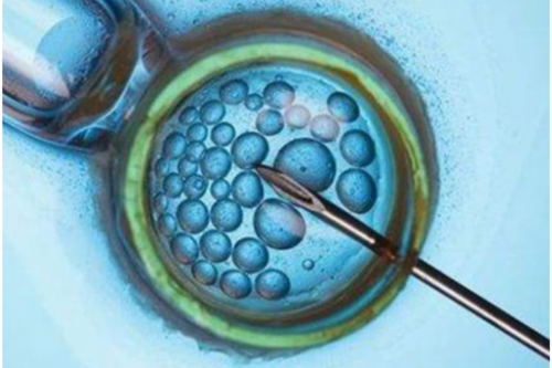 两个男人可以生孩子吗,男同性恋怎么做试管生育，同性做3代试管的方法和流程