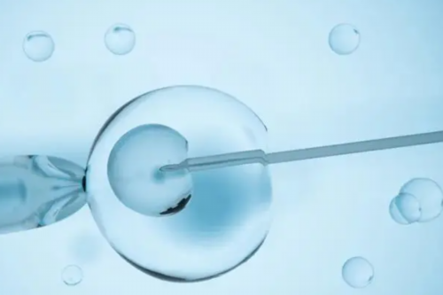 
              上海儿童医院供卵试管婴儿一次成功率怎么样？
            