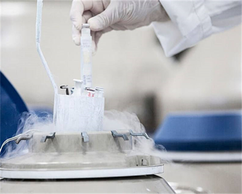 如何接受供卵,西藏阜康医院供卵代怀一次助孕成功率高吗