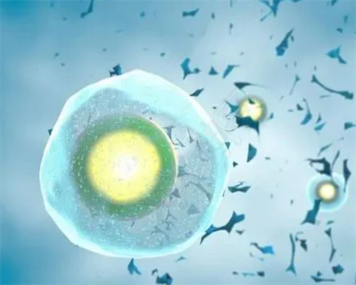 les生娃,试管婴儿助孕中心：同性可以试管婴儿么？