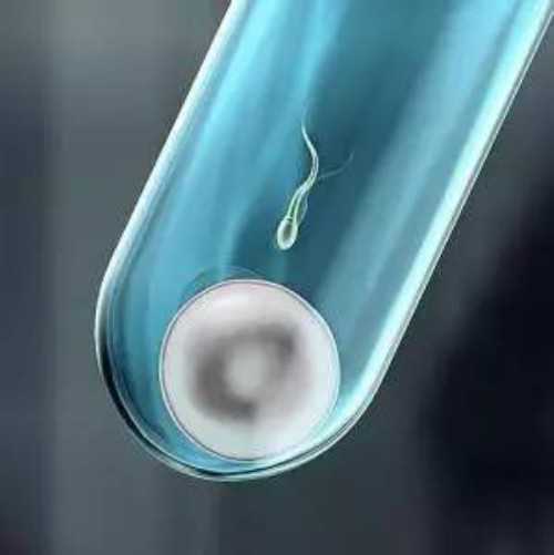 下奶木瓜鲫鱼汤的做法，下奶鲫鱼汤一天喝几次