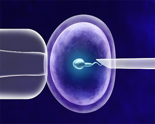 两个女人怎么怀孕生宝宝,贵阳男同性恋能做试管生子吗，同性3代试管助孕的方