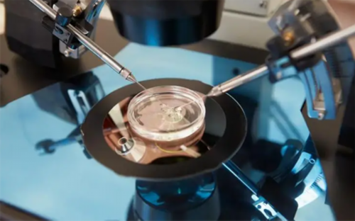 同性骨髓生孩子违法吗,拉萨同性试管2代多少钱_三代试管助孕机构