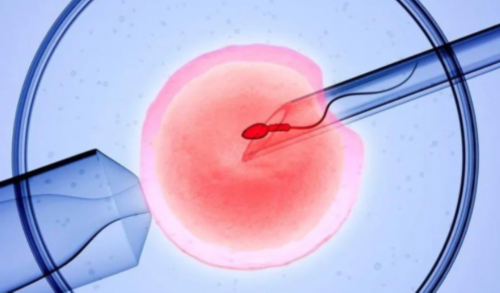 泰国试管婴儿哪家好-做三代试管