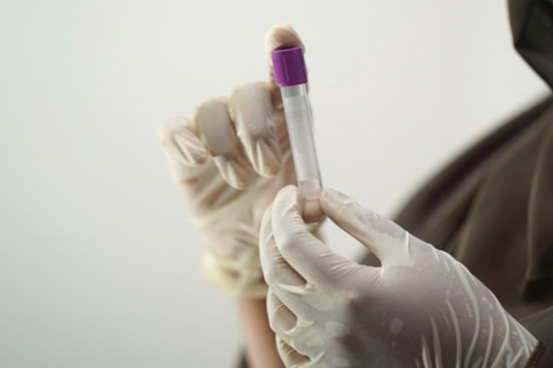 现在百合可以生孩子吗,福建天生同性恋，找福建供卵试管生殖中心