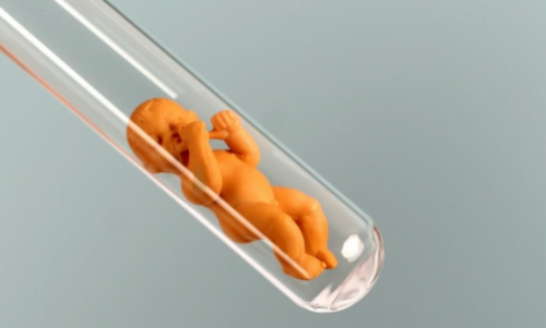 两个男孩可以生宝宝吗,同性情侣可以通过三代试管供卵怀孩子吗