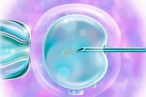 供卵助孕需要多少钱,辽宁三大助孕机构沈阳助孕医院