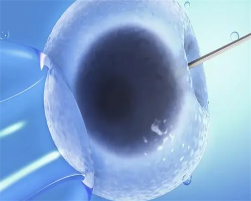 女女骨髓生子费用,供精供卵同性试管助孕机构哪里找