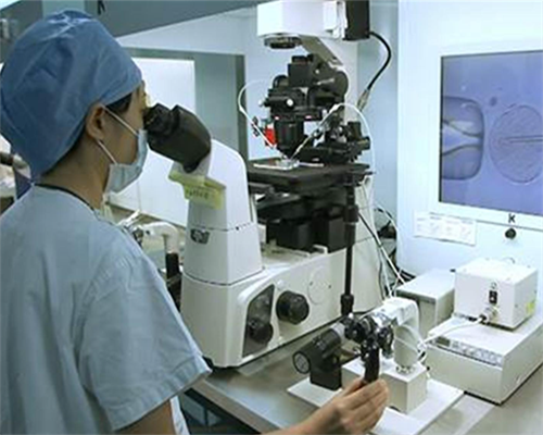 两个女的试管婴儿的过程,福建天生同性恋，找福建供卵试管生殖中心