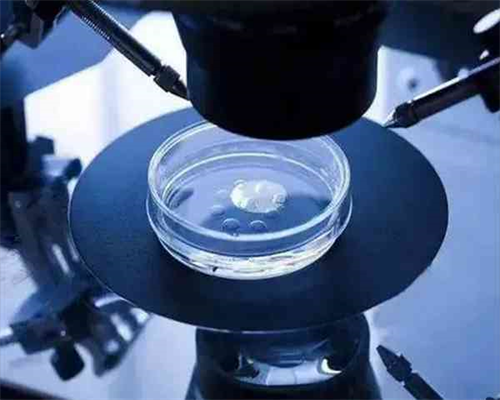 最好供卵机构,去做供卵代怀婴儿手术助孕的价格需要多少？