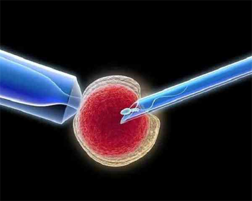 2026湖南正规供卵机构花名册大曝光-附供卵试管婴儿费用明细单
						