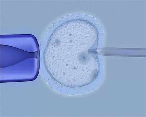 想找助孕,鹤壁三代供卵代怀助孕生儿子费用一般多少