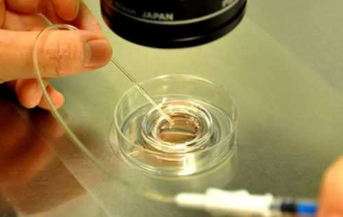 做的供卵试管的医院,海外助孕机构：有没有辽宁在海外助孕的*