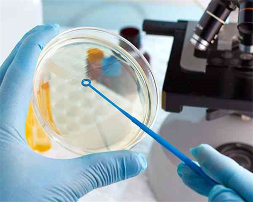 取卵后肚子咕咕叫还拉肚子