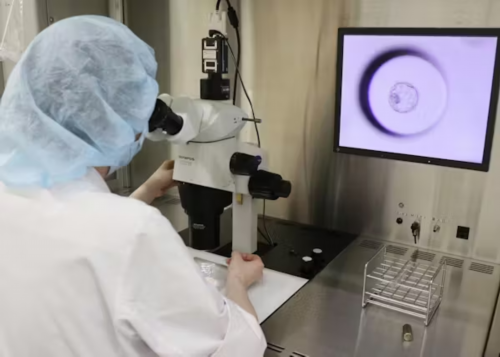 能做供卵试管医院有哪些,广西三大助孕公司!河池知名助孕公司