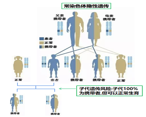 les生孩子要多少费用,供精供卵同性试管助孕机构哪里找