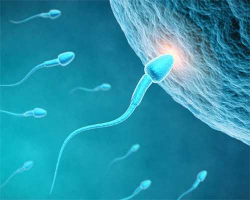 多囊想直接试管婴儿吗(多囊能试管婴儿吗)-优生失独机构