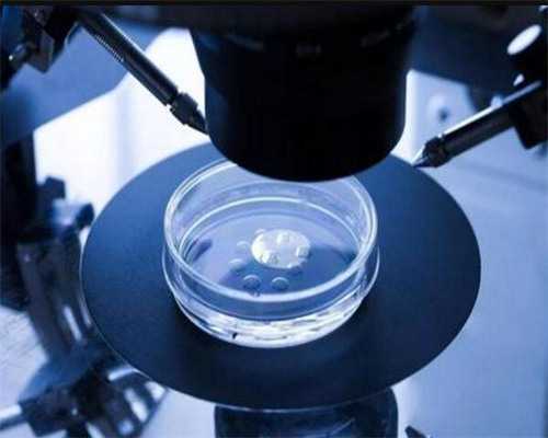 代孕流程,石家庄十大助孕机构-正规助孕网