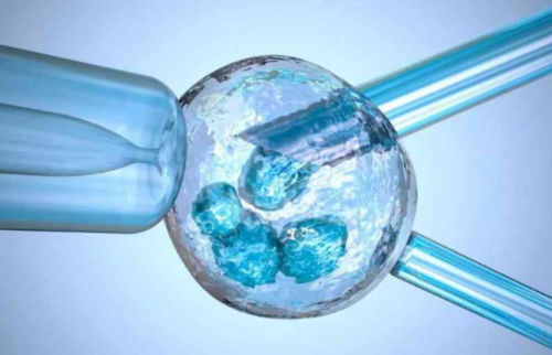 供卵助孕专家哪里好,石家庄最大助孕公司_正规助孕网