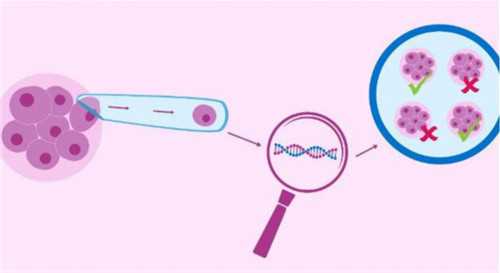 女同t生孩子,试管婴儿助孕中心：同性可以试管婴儿么？