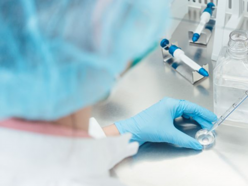 买卵子做供卵代怀,利于受孕的食物有哪些？助孕主要补什么？