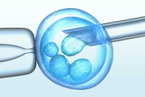 探讨男性生育年龄的边界：你应该如何看待生育年龄的重要性