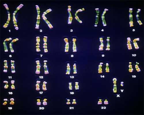 蛋白质粉排名前十位，蛋白质粉哪个牌子好-代生孩子宝宝