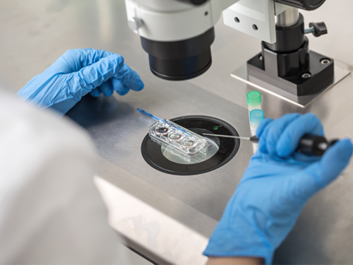 同性试管婴儿费用大约多少,同性试管双胞胎,二代试管双胞胎男女比例