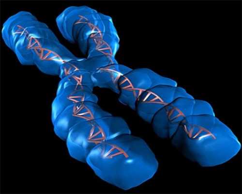 湛江市有没有卵子库？内附供卵试管医院选择指南
						