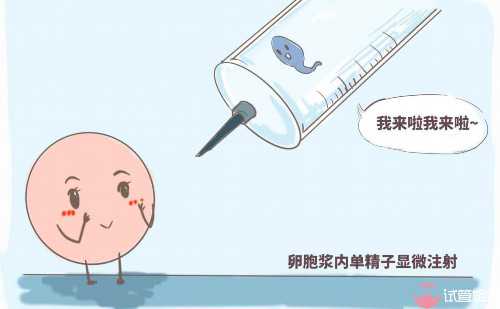 泰国第三代试管技术详解！-代生性别优选