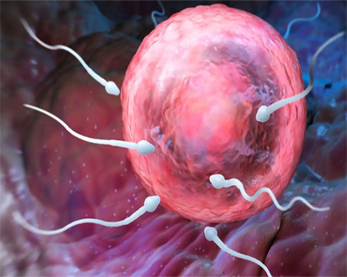 同性助孕机构费用最合理的公司,同性试管助孕机构,找****产子公司,试管婴儿包