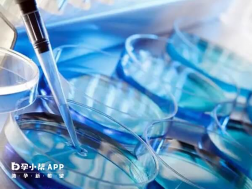 拉拉能生孩子吗,同性恋可以*孩子吗