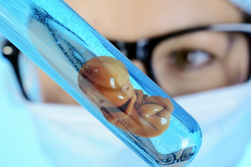 t卵p怀靠谱吗,银川同性恋想要孩子怎做-试管助孕机构