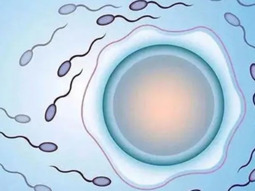 两个同性要怎么要小孩,同性家庭赴美国做试管婴儿的具体流程