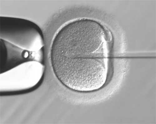 a卵b怀男孩,拥有属于自己的孩子，同性恋者怎么做试管？