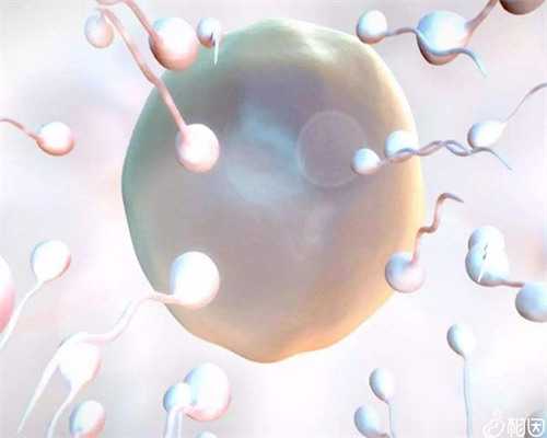 les骨髓取精多贵,同性恋可以去做泰国试管婴儿吗？贵不贵？