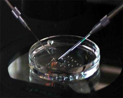 2026重庆医科大学附属第一医院供卵试管费用，附影响因素分析
						