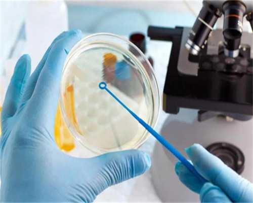 拉拉怎么生孩子可以要两个人卵子吗,银川同性恋想要孩子怎做-试管助孕机构