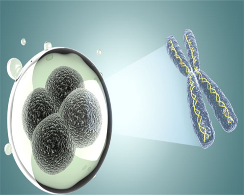 泰国试管婴儿市场低价吗现在-试管选性别