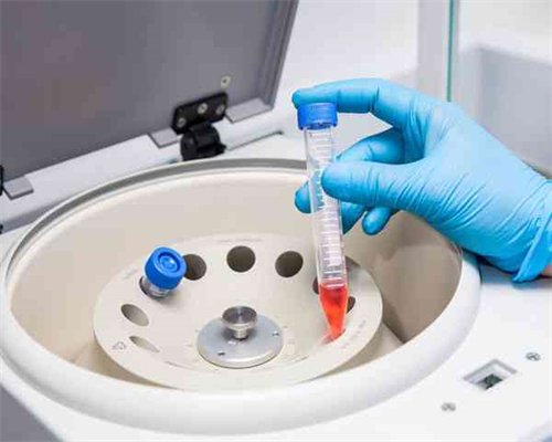 两个女的试管可以怀孕吗,武汉私立供卵试管助孕机构同性恋可以做吗？