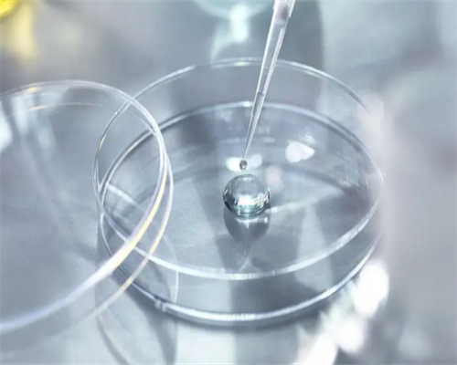 辅助代怀,几个助孕公司,做淮南助孕供卵代怀婴儿攻略都是怎么来的