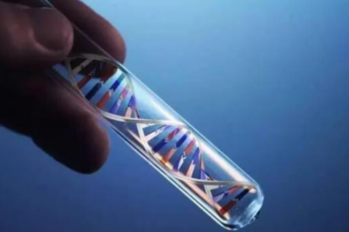 试管婴儿技术：无需性行也能实现生育梦想