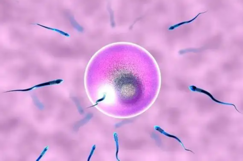 两个男人能生孩子吗,银川同性恋想要孩子怎做-试管助孕机构