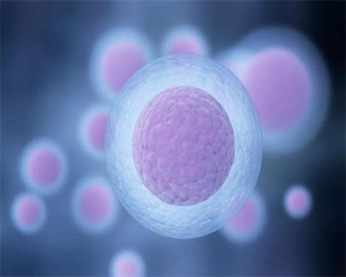 les两个卵子生宝宝,2026
同性情侣可以通过试管助孕供精生宝宝吗