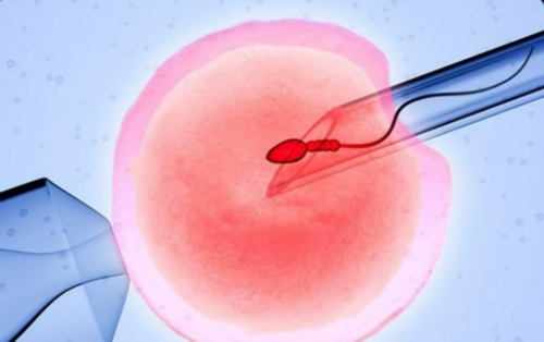 怎样做助孕,供卵代怀婴儿对子宫肌瘤者助孕成功率高吗