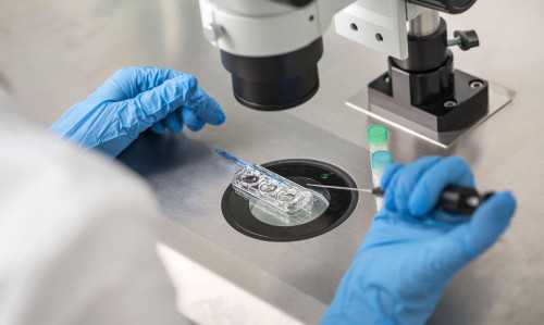 两个女生生孩子的方式,武汉私立供卵试管助孕机构同性恋可以做吗？