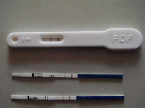 拉拉ab卵b怀两个孩子,同性恋真的能生孩子吗？同性恋是如何要孩子的？