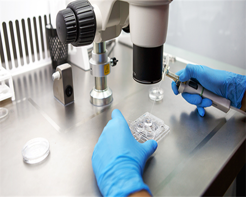 同性可以繁殖后代吗,武汉私立供卵试管助孕机构同性恋可以做吗？