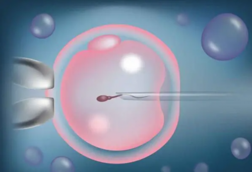 3代供卵代怀,供卵高端机构,泰国供卵代怀婴儿价格高？助孕失败该怎么办？